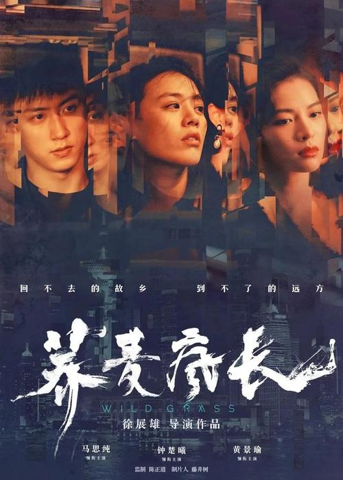 ConservatoriodiTrapani商业管理文凭证书